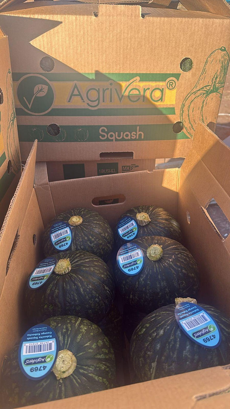 Kabocha squash packed in a carton