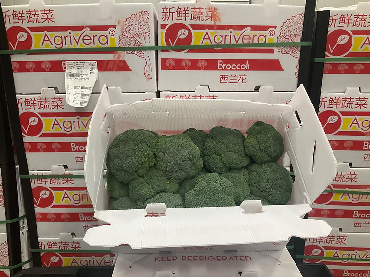 Broccoli crowns tray-packed in an Agrivera carton