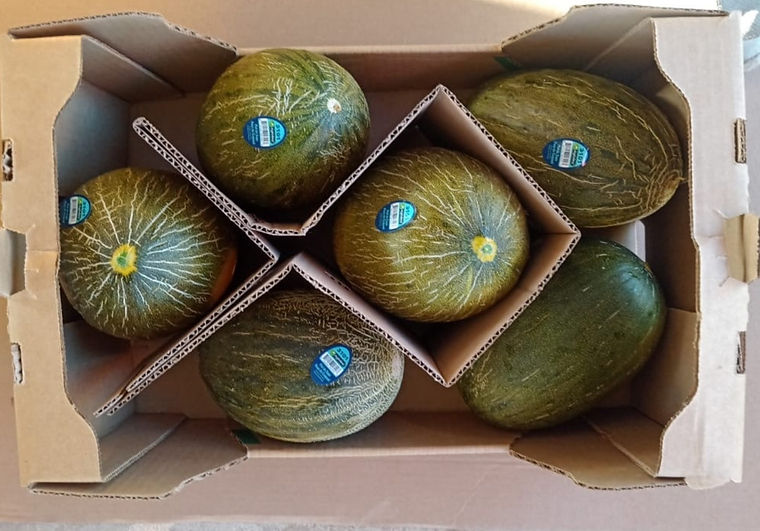 Piel de Sapo melons packed in a carton