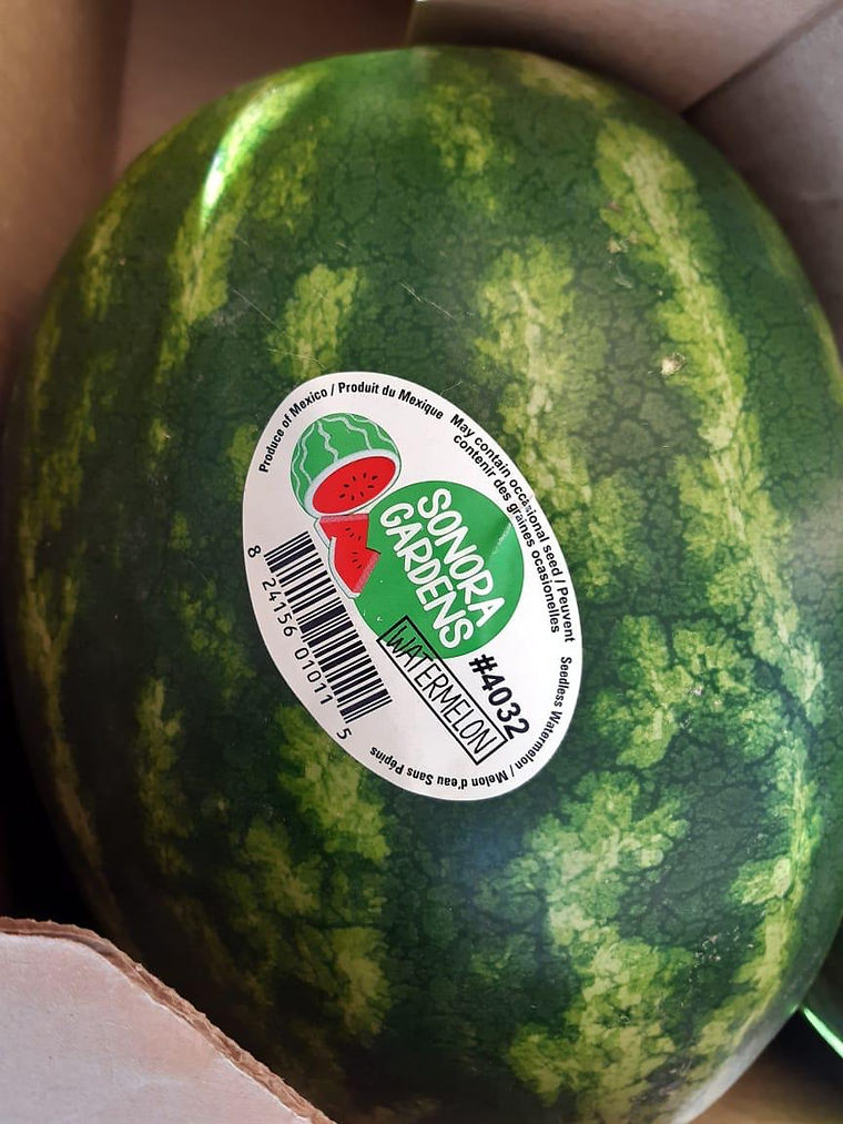 A stickered Sonora Gardens watermelon