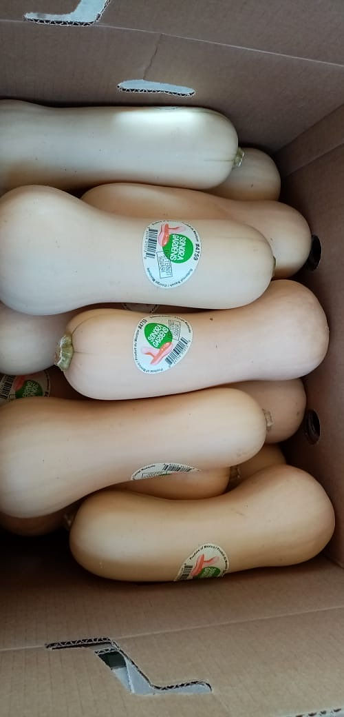 Butternut squash stickered and packed