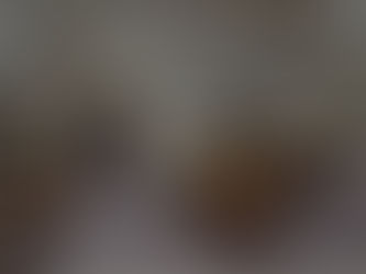 First screen of the interactive 3D tour of the St. George Daughters of the Utah Pioneers Museum showing museum interior and Explore 3D Space button