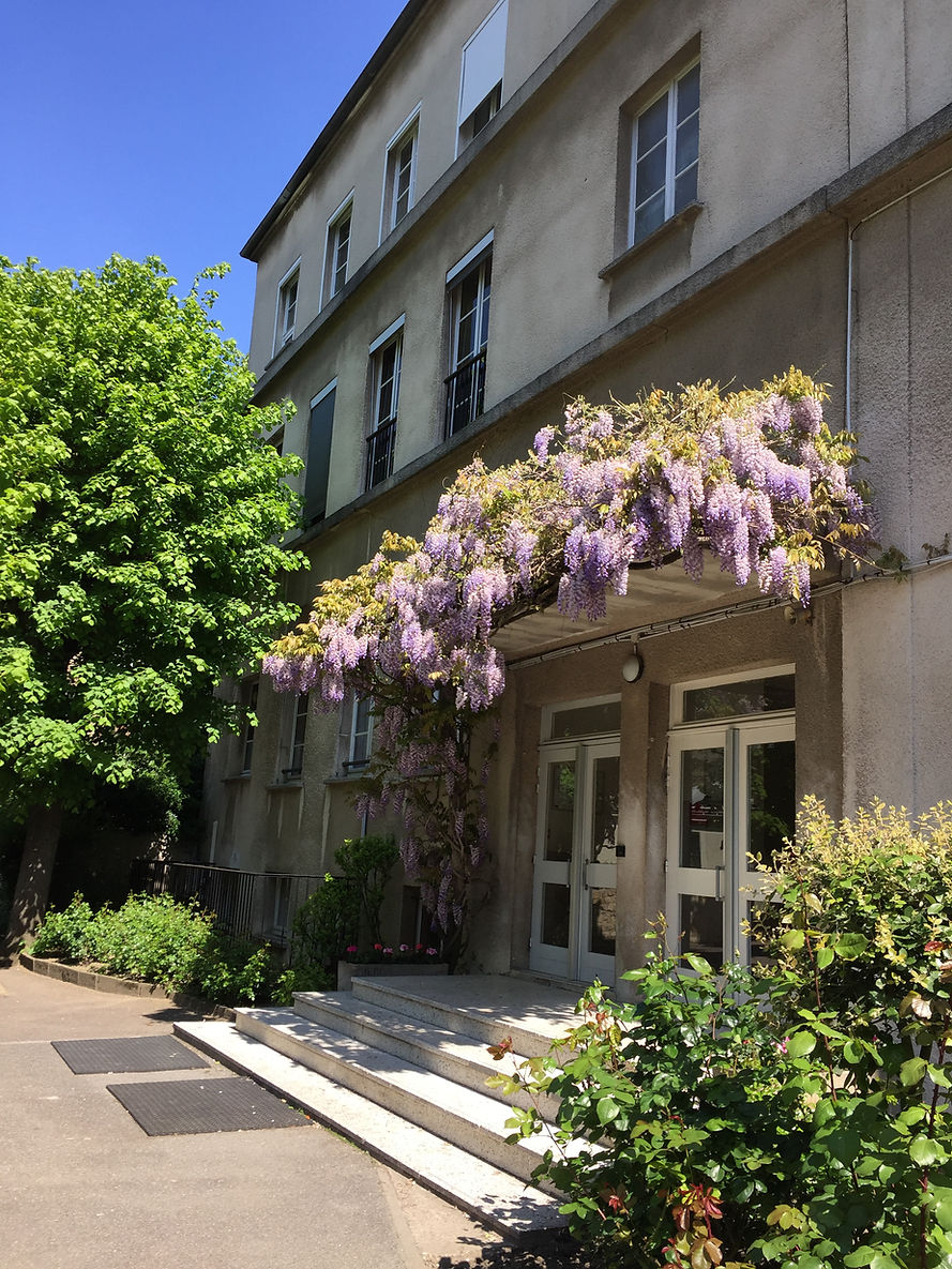 glycine.JPG