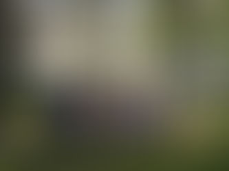 Une semaine des langues sous le signe de l'échange franco-autrichien