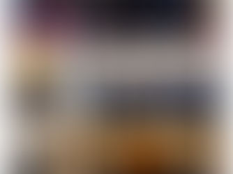 Les Terminales HGGSP en visite au Sénat