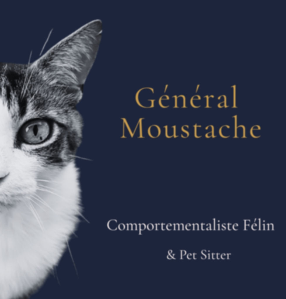 mascotte de Général Moustache