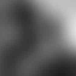 retrato corporativo em ribeirão preto por ju rizieri