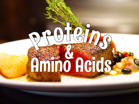 Protein & Amino Acids
