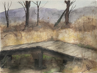 Spring marsh bridge