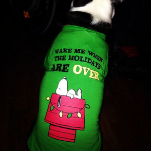 Sick of Christmas Yet?