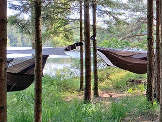 Nurturing Our Wild Spaces