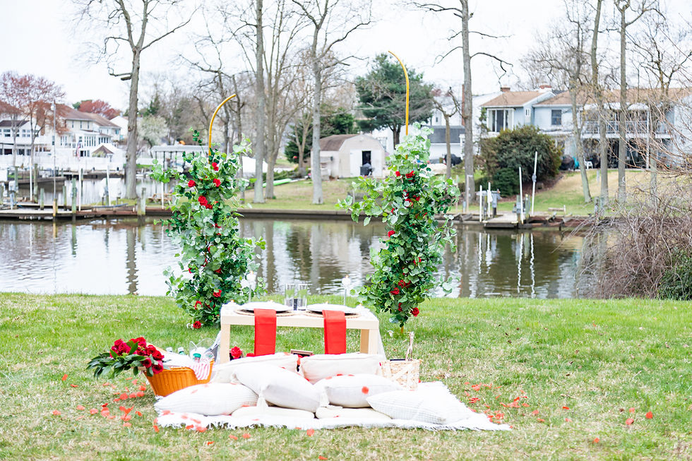 Romantic outdoor arch setup for proposal or event rental in Maryland