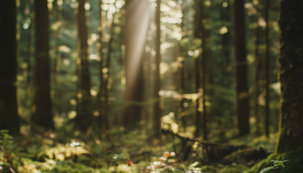 Bildschirmfoto 2025-11-29 um 11.06.01.png