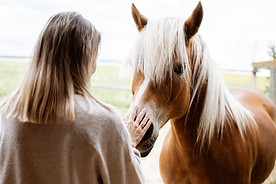 Frau begegnet einem Pferd in ruhigem Kontakt – zeigt pferdegestützte Coaching-Arbeit, Achtsamkeit und vertrauensvolle Verbind