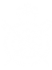 Copy of Presentation Template.png