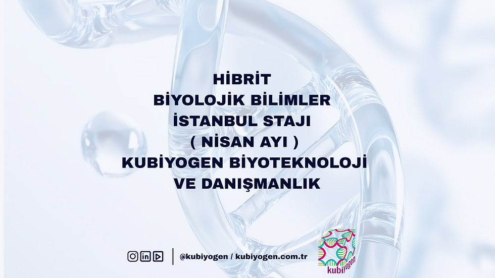 Biyolojik Bilimler Hibrit İstanbul Stajı ( Nisan Ayı )