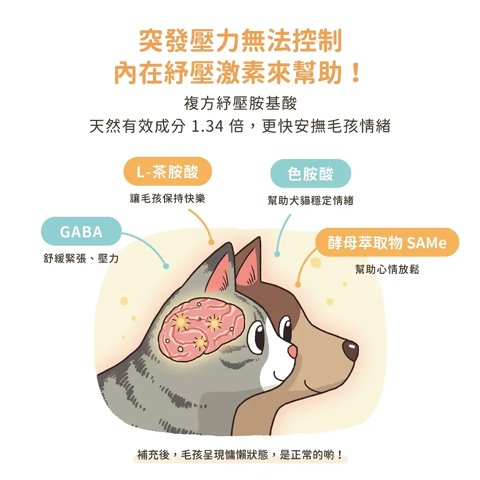 縮圖：汪喵紓壓胺基酸
