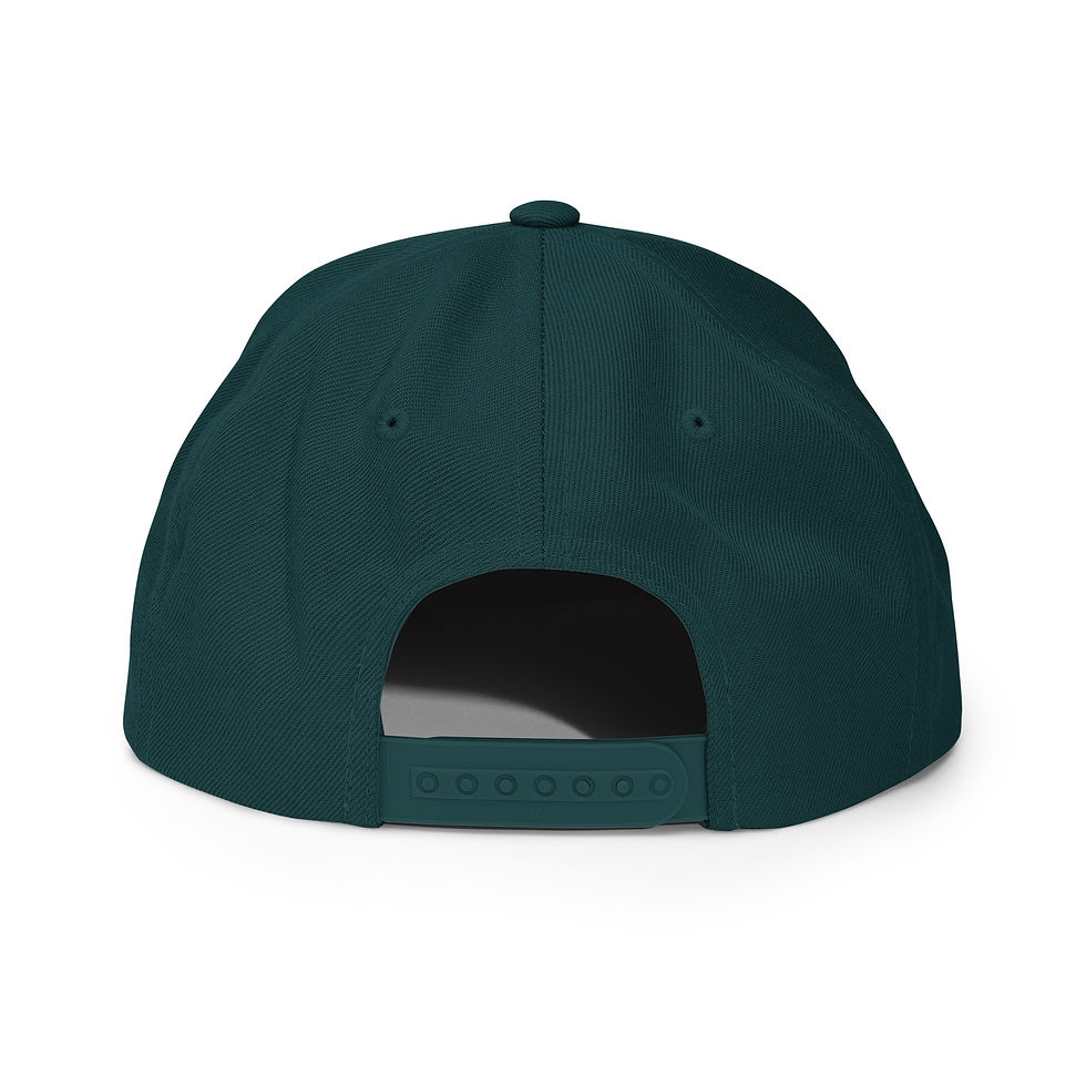 Thumbnail: Noir Groove Snapback Hat