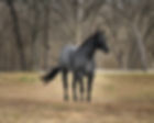 Rocky_9428-Edit.jpg