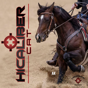 Promotional image of HiCaliber Cat driving into a deep sliding stop with dust flying, paired with Crosshair Ranch branding and stallion logo.