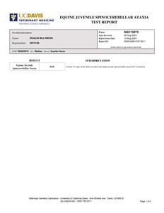 Dualin Blu Moon EJSCA Results Photo