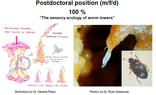 Screenshot 2026-04-10 at 13.27.20.png