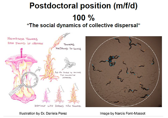 Screenshot 2026-04-10 at 13.26.56.png