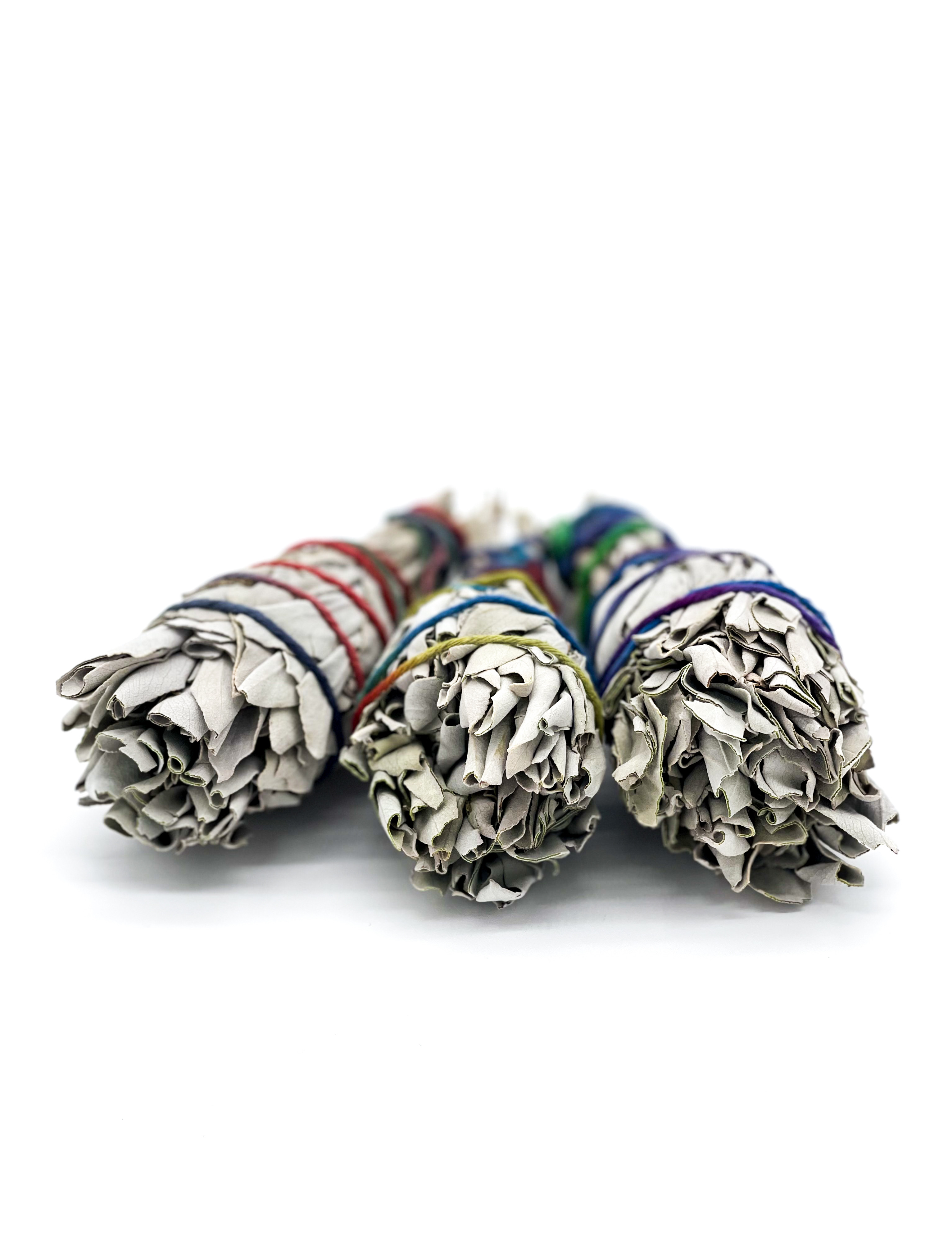 Organic White Sage Smudge Sticks | USDA Organic & Grown in the USA