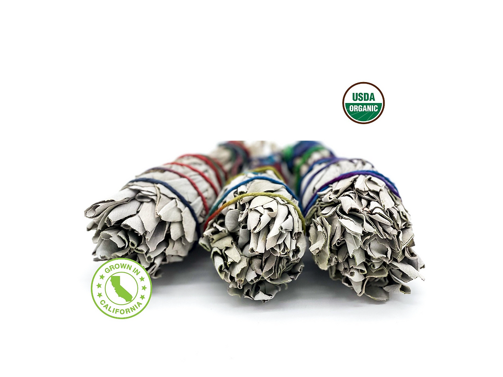 Thumbnail: Organic White Sage Smudge Sticks | USDA Organic & Grown in the USA