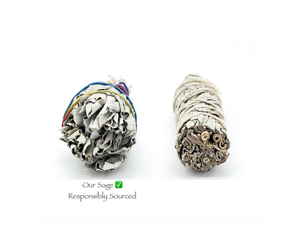 Thumbnail: Organic White Sage Smudge Sticks | USDA Organic & Grown in the USA