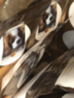 bags span.jpeg