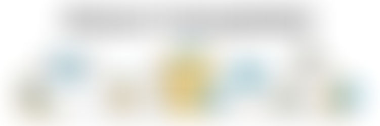 The Prominence of Product Managers