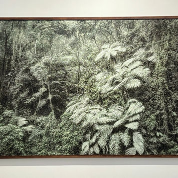 Earth water sky exhibition at brisa galeria 16
