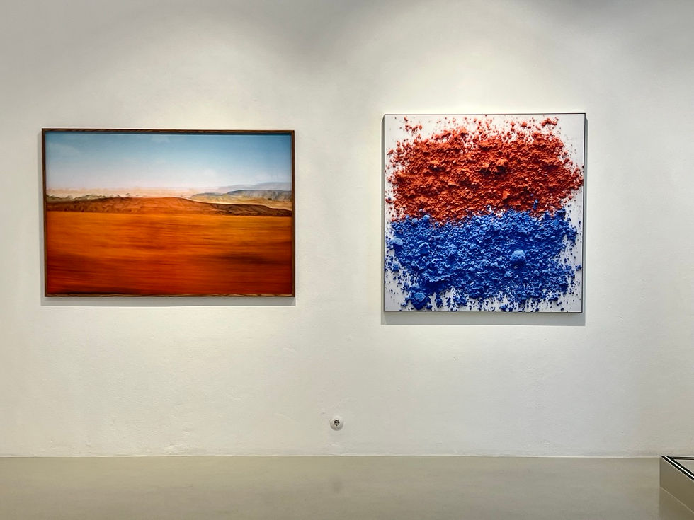 Brisa Galeria, galeria de arte contemporânea na Europa