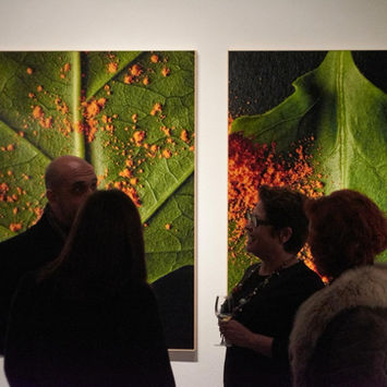 altered nature at brisa galeria 10