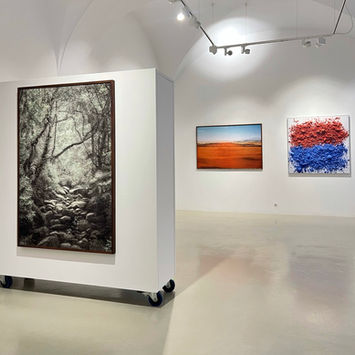 Earth water sky exhibition at brisa galeria 20