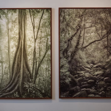 umbra natural exhibition by cassio vasconcellos and Daniel mattar at brisa galeria 10