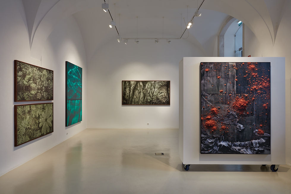Umbra Natural, exposição de Cássio Vasconcellos e Daniel Mattar na Brisa Galeria