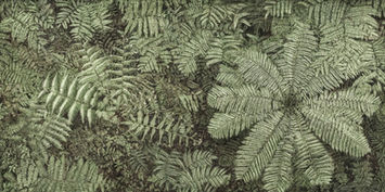 artwork viagem pitoresca pelo brasil 142 by Cássio Vasconcellos