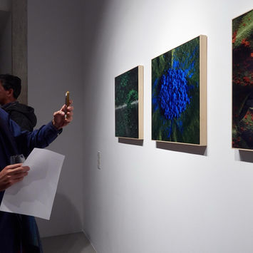 altered nature at brisa galeria 04