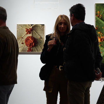 altered nature at brisa galeria 05