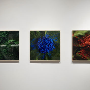 altered nature at brisa galeria 08