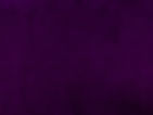 Purple Velvet.jpeg