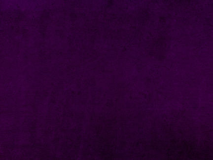 Purple Velvet.jpeg