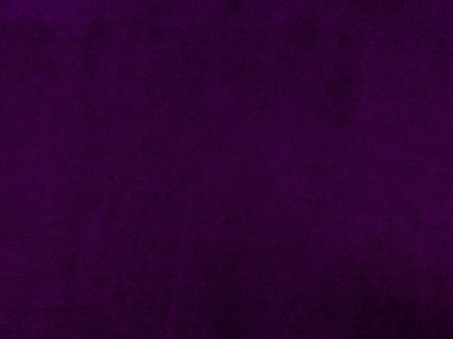 Purple Velvet.jpeg