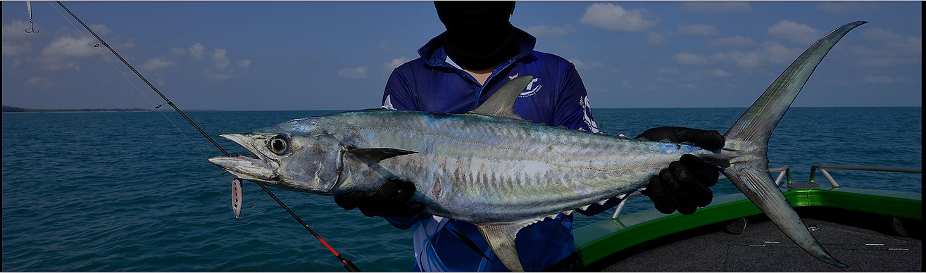 BANNER.jpg
