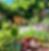 Surbiton_Garden_Design_Project_001.jpg