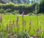 Surbiton_Garden_Design_Project_002.jpg