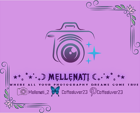 Mellenati logo.png