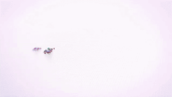 ezgif.com-video-to-gif(2).gif